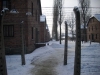 pol_wycieczki_-107 pol_wycieczki_-107